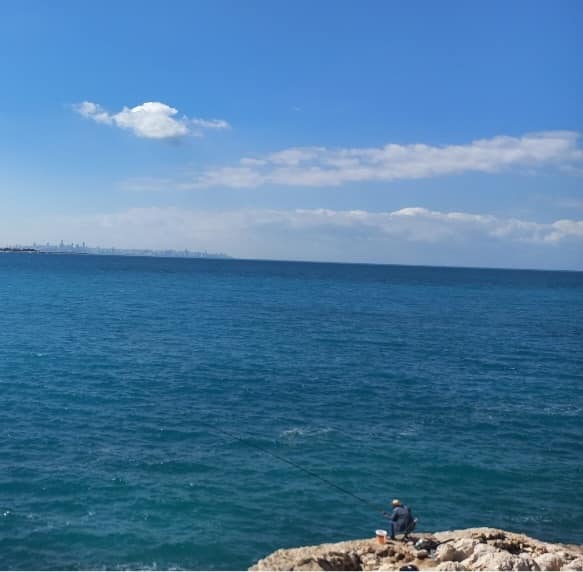 Unique Property for Sale Directly on the Beach in Jbeil
